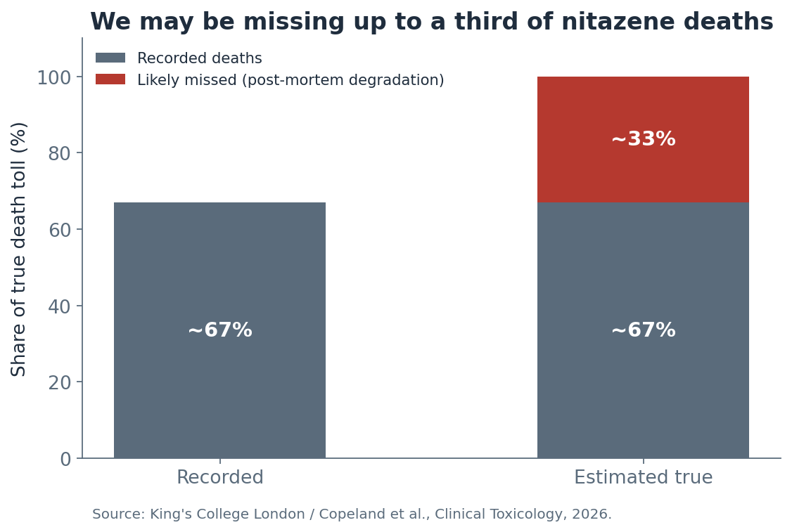 Stacked bar chart contrasting recorded nitazene deaths at about 67% of the true total against an estimated true toll, where roughly a third of deaths are likely missed because of post-mortem degradation.